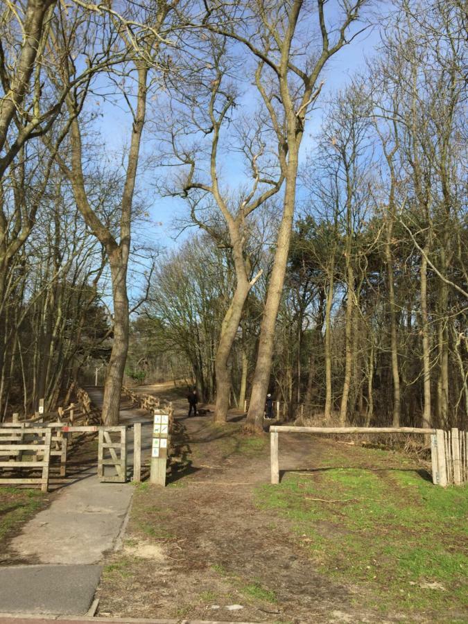 Zee Vakantievilla Begijnhof 5 De Haan Nieuwmunster Eksteriør billede